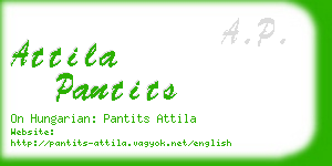 attila pantits business card